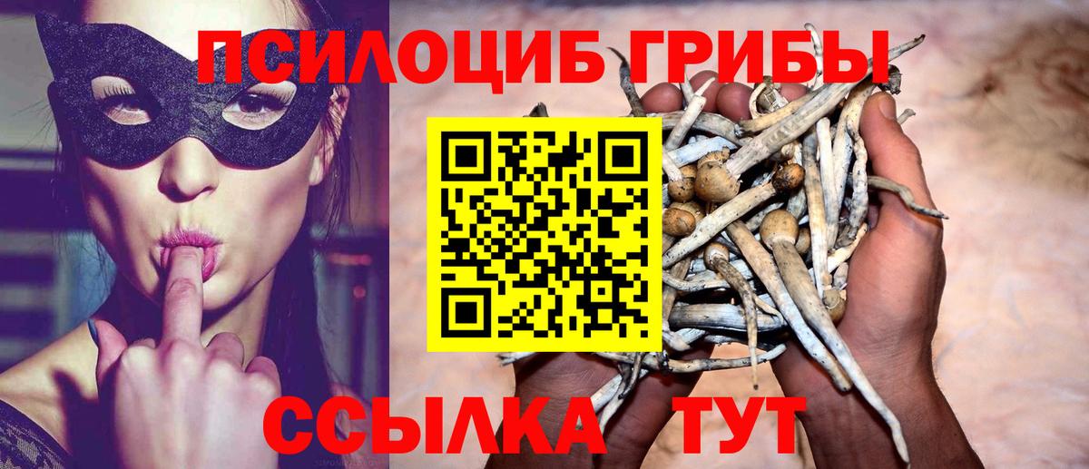 Галлюциногенные грибы Cubensis  Вход с VPN  Тавда  Галлюциногенные грибы MAGIC MUSHROOMS 