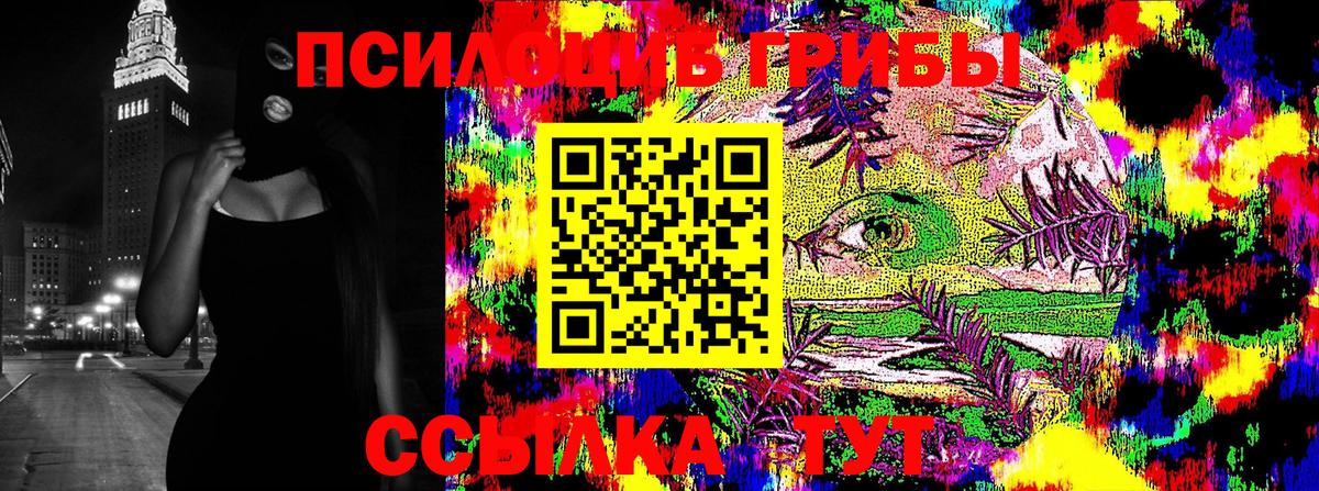 Галлюциногенные грибы GOLDEN TEACHER Тавда